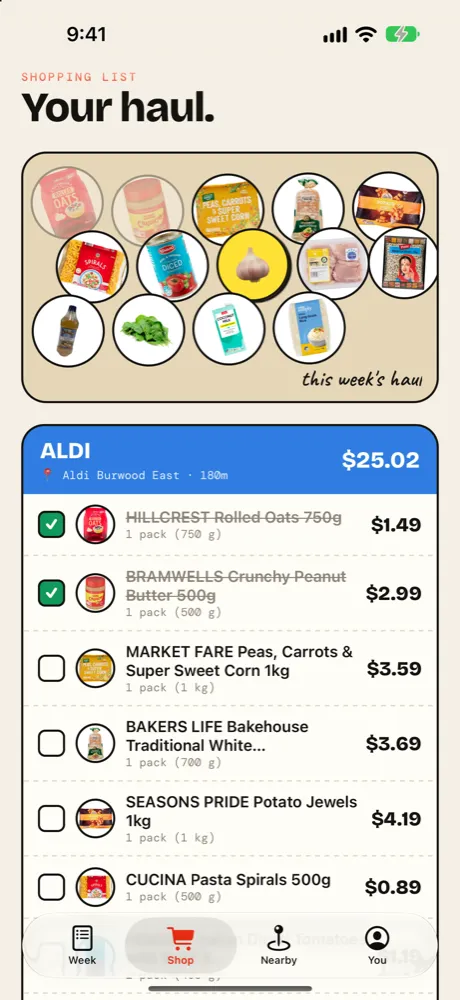 Shopping list grouped by store, with ALDI Burwood East items totalling $25.02
